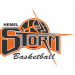 HEMEL STORM Team Logo